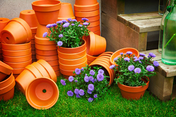 Vente de pot pour plante : harmonisez votre jardin avec de jolispots artisanaux